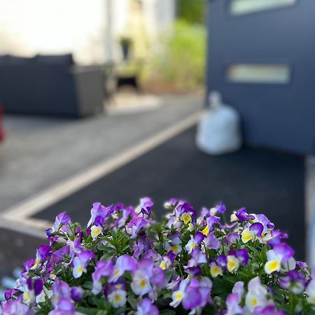 Ihana Asunto - The Nest With Sauna In Vaasa Lejlighed Eksteriør billede